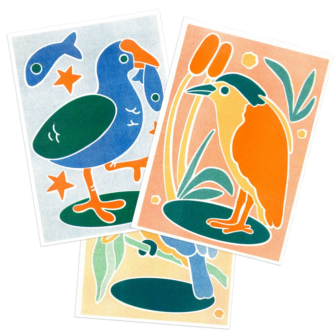 Bird set of 3 A5 Posters