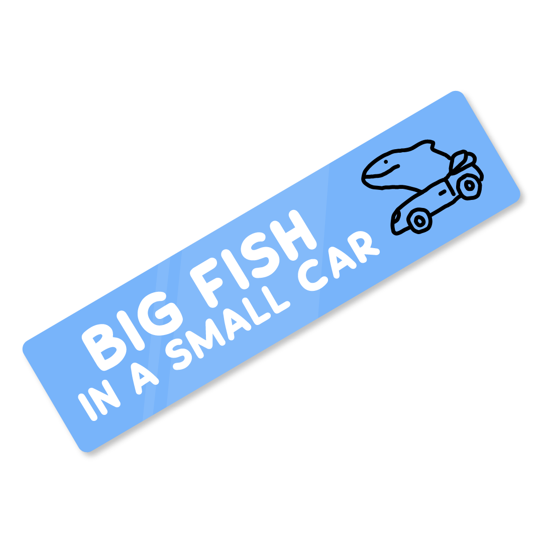 'Big Fish Small Car' Bumper Sticker